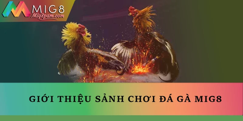 Giới thiệu sảnh chơi